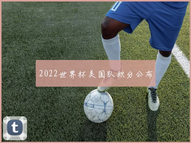 2022世界杯美国队积分公布