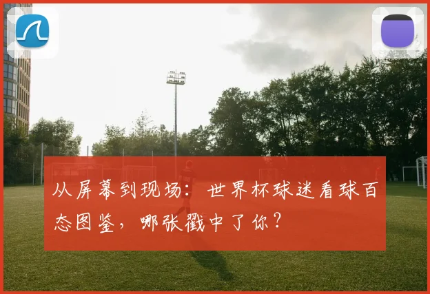 从屏幕到现场：世界杯球迷看球百态图鉴，哪张戳中了你？