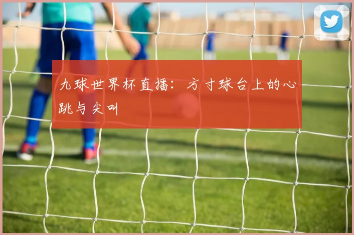 九球世界杯直播:方寸球台上的心跳与尖叫