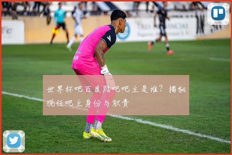 世界杯吧百度贴吧吧主是谁?揭秘现任吧主身份与职责
