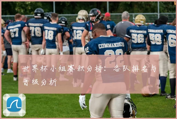 世界杯小组赛积分榜：各队排名与晋级分析