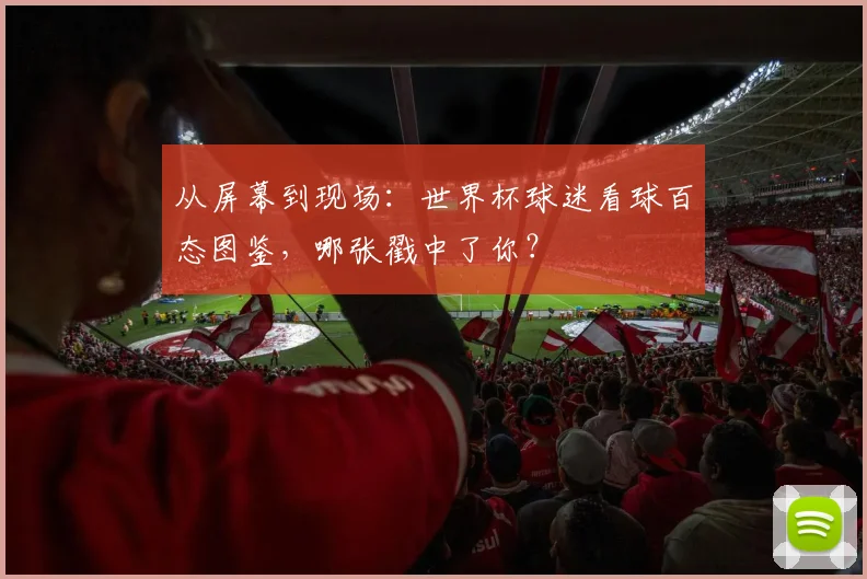 从屏幕到现场:世界杯球迷看球百态图鉴,哪张戳中了你?