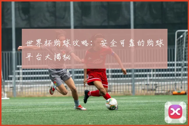 世界杯购球攻略:安全可靠的购球平台大揭秘
