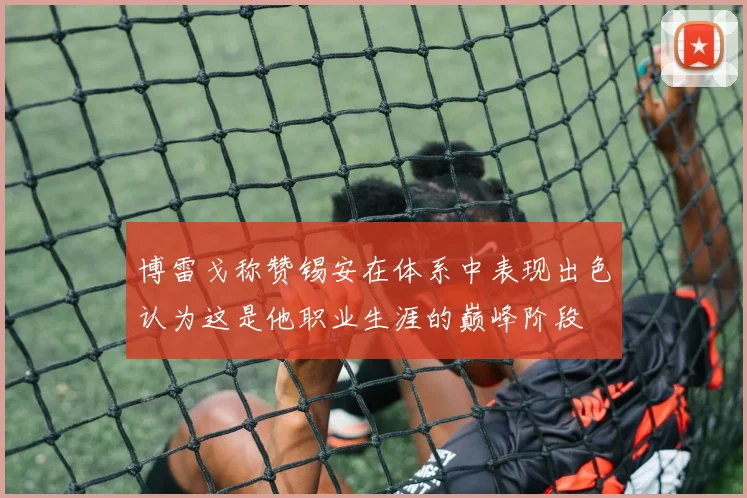 博雷戈称赞锡安在体系中表现出色认为这是他职业生涯的巅峰阶段