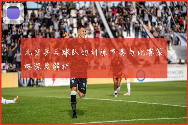 北京乒乓球队的训练节奏与比赛策略深度解析