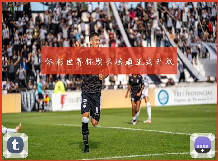 体彩世界杯购买通道正式开放