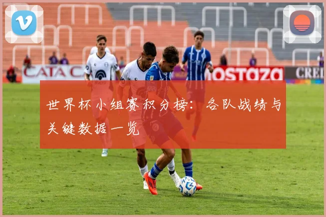 世界杯小组赛积分榜：各队战绩与关键数据一览