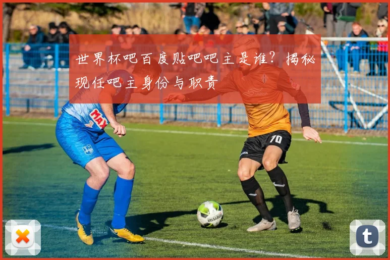 世界杯吧百度贴吧吧主是谁？揭秘现任吧主身份与职责
