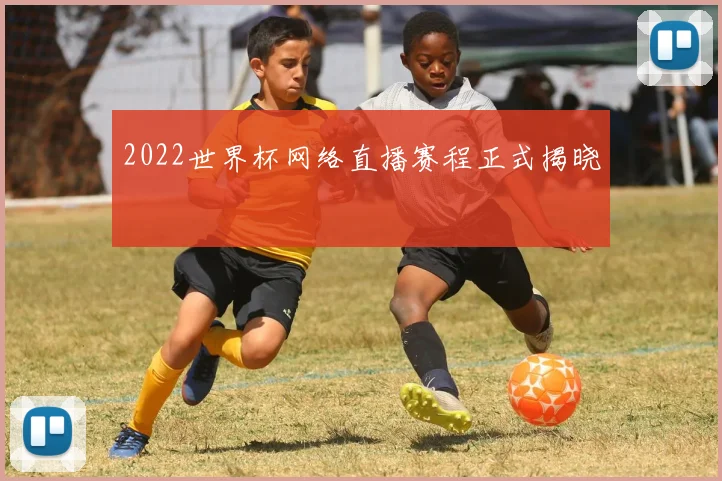 2022世界杯网络直播赛程正式揭晓