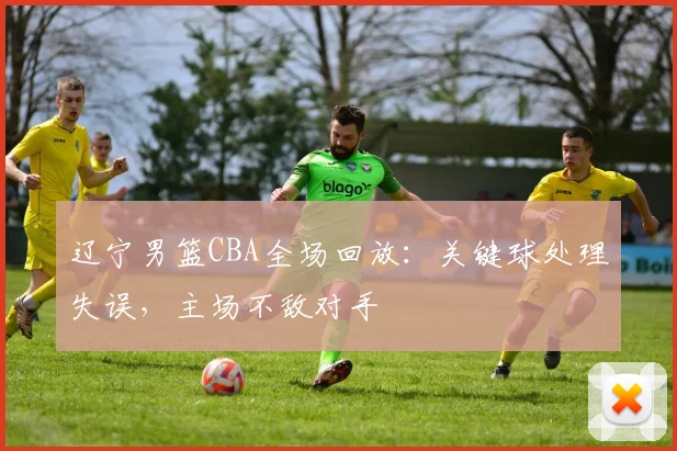 辽宁男篮CBA全场回放：关键球处理失误，主场不敌对手